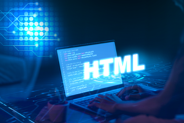 Basic Web Programing